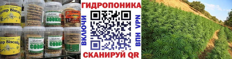 Купить где  Кизилюрт  Печенье с ТГК марихуана 