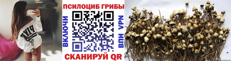 Галлюциногенные грибы ЛСД  Купить где  Кизилюрт 